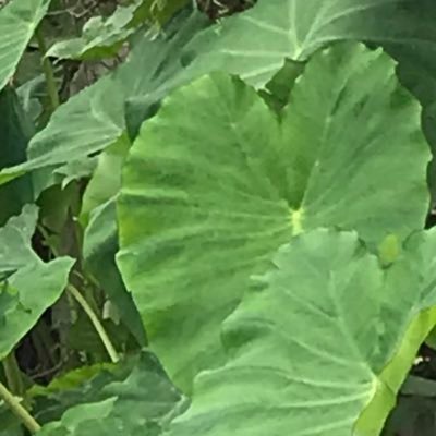 lilly3033's profile picture. #@