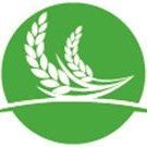 AniweOf's profile picture. Professional #agronomic, #pest #management, #warehousing, #cleaning, #transportation, #clearance and forwarding / #cargo storage services in #SouthSudan