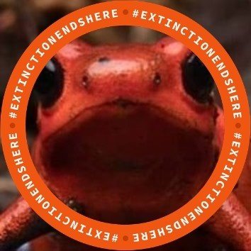 Focuses on Visual Stories of Animals, People, and Environment. 
Manages: Spot On Poisonous Eye Candy, on FB 🐸
#PoisonousEyeCandy #HourGlassAmazon #SaveTheChocó