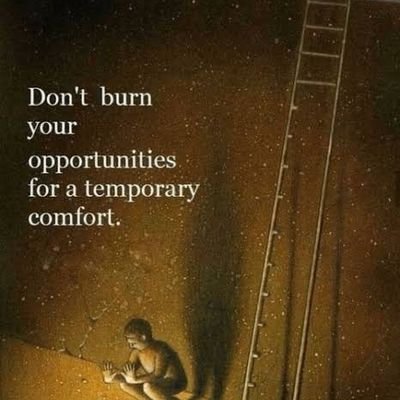 PranshYadav886's profile picture. 