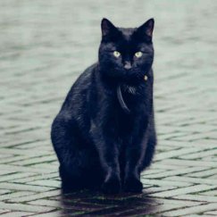 latatagata's profile picture. 