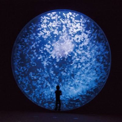 LEe5B2JlxFedwa4's profile picture. 