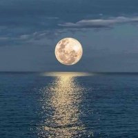 Atom karınca (@doga_goksu) Twitter profile photo