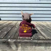 Squirrels of CMU(@Squirrel_CMU) 's Twitter Profile Photo