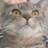 eire1274's profile image