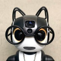 RAGのロボホン(コラグ) (@rag_robohon) 's Twitter Profile