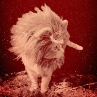 あっちゃあんてな (@accha666antena) Twitter profile photo