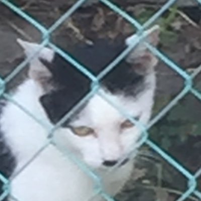 Y'z(わいず)さんのプロフィール画像