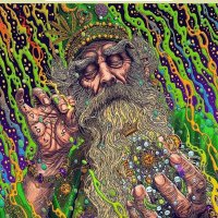 GnomoVerde4e20✌🏽🧝🏾‍♀️🍁💚Ativista da Cannabis🌱(@GnomoVerde4e20) 's Twitter Profile Photo