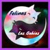 Felinos Las Gabias (@felinos_gabias) Twitter profile photo Felinos Las Gabias (@felinos_gabias) Twitter profile photo