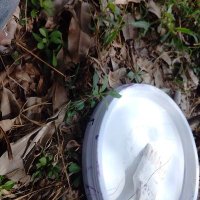 Torti98 (@torti98) 's Twitter Profile