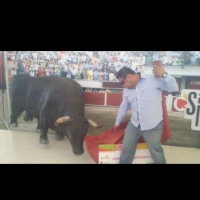 Cariñoso, elucuente, inusual, caracter complejo,