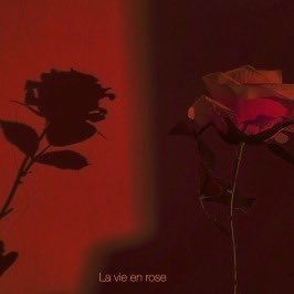 Citation Amour Sombre Sombre Amour Twitter