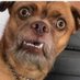 just a guy (@curious4dudes) Twitter profile photo just a guy (@curious4dudes) Twitter profile photo