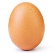 PerryOrnitoas Profile Picture