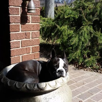 Forensicy's profile picture. 