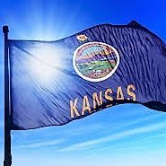 TMaple's profile picture. 