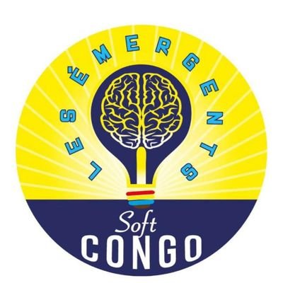 Réseau des intellectuels congolais dans le monde pour des échanges et discussions pouvant aboutir à des réalisations concrètes. lesemergentsoftcongo@gmail.com