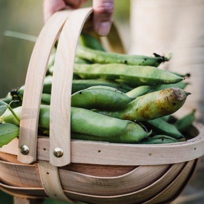 Organic vegetable garden and wildlife haven in East Sussex.