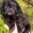 JanetLiscio's profile image