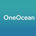 OneOcean (@OceanFlotilla) Twitter profile photo