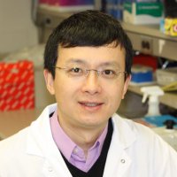 hzeng (@hzengpurplelake) 's Twitter Profile Photo