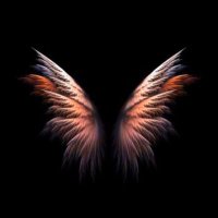 izmir reel çift (@izmirinpasifi35) 's Twitter Profile Photo