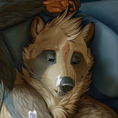 ThatGayRaccoon's profile picture. Gay raccoon with the body of a bear. Lover of pizza and all the floofiness. 31, single, he/him. 🔞