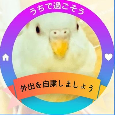 のぶゆきさんのプロフィール画像