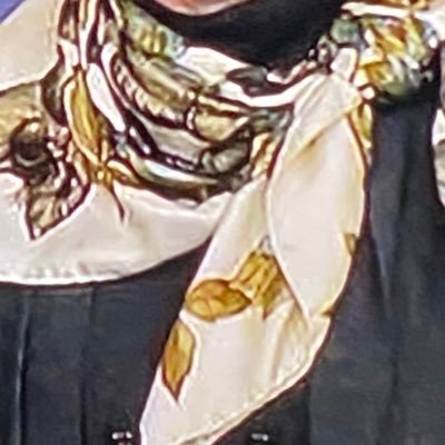 I am Dr. Deborah Birxs’ Scarf. I support President Trump and the safety of all American scarves. #maga #kag