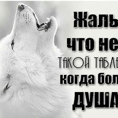 Сахабалардын жолунда