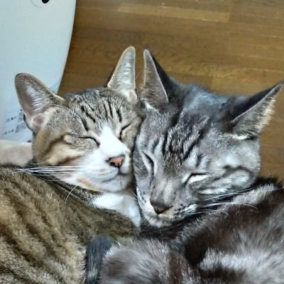 1uHKSfP5RZuMGVM's profile picture. 