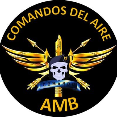 Cuenta oficial del Grupo de Fuerzas Especiales N° 20 de la AMB, administrada por su departamento de RR.II.