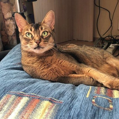 Robcio63066059's profile picture. 