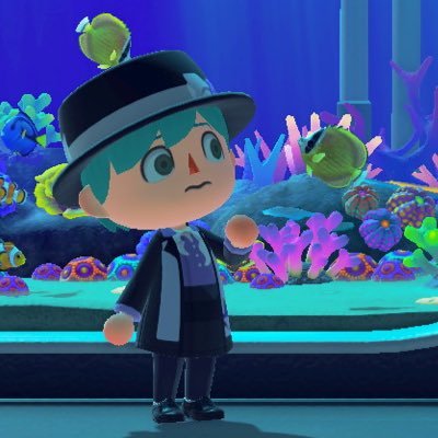 あやせ🌊さんのプロフィール画像