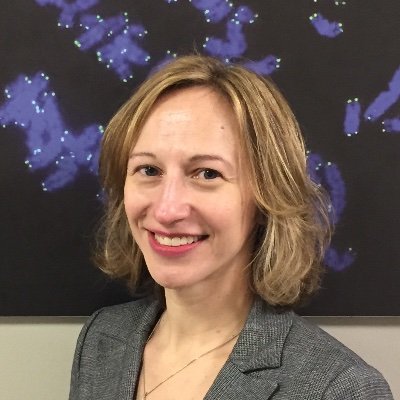 Patricia Opresko, PhD Profile