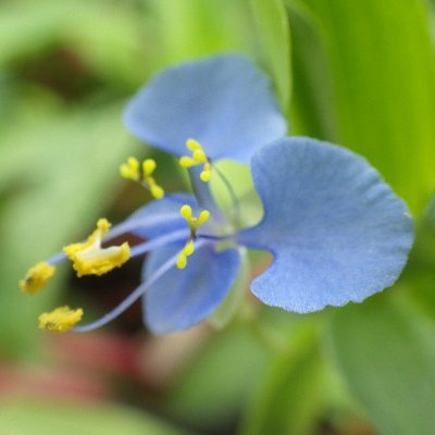 kibanafieldlab's profile picture. 宮崎大学農学部附属フィールド科学教育研究センター・木花フィールド内にある,農学部植物生産環境科学科・フィールド科学研究室の活動を主にお知らせするものです。よろしくお願いします!