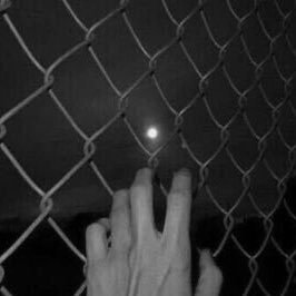 gaid9090's profile picture. 