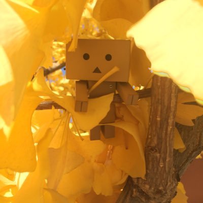 tonnyS11's profile picture. よろしゅう頼んます