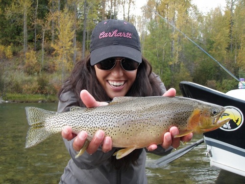 TROUT TV is a network fly fishing TV show featuring top destinations in the West, hosted by Hilary Hutcheson and Rich Birdsell.