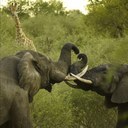 Ignacio Melero - @nachomelero - Twitter