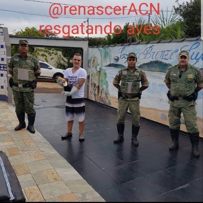 O Instituto Renascer ACN que acolhe aves oriundas de maus tratos animais e apreendidas do tráfico de animais precisa de sua ajuda. Mais de 120 aves até hoje .