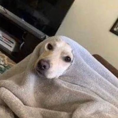 Doinker_'s profile picture. I would like to Fook the game up thx