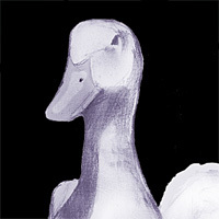 wrongcards's profile picture. Ecards that are wrong for every occasion.