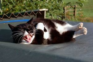 bspinmn's profile picture. A little blog on the prairie.