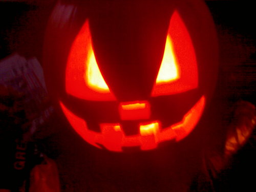 friedgold22's profile picture. being a sheep an just following everyone else.