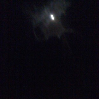 crushit5's profile picture. 