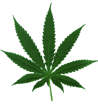 MarijuanaEvent's profile picture. The Marijuana Conference is the only non-biased forum geared for business-to-business networking and education.