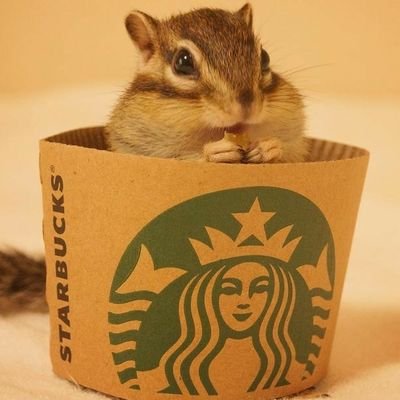 aﾘｽさんのプロフィール画像
