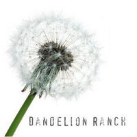 Clover Chadwick (@dandelion_ranch) Twitter profile photo